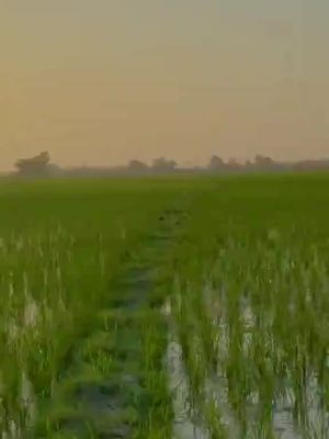 پیسہ کمانے والی گیم ڈاؤن لوڈ کرنے کے لیے کلک کریں۔