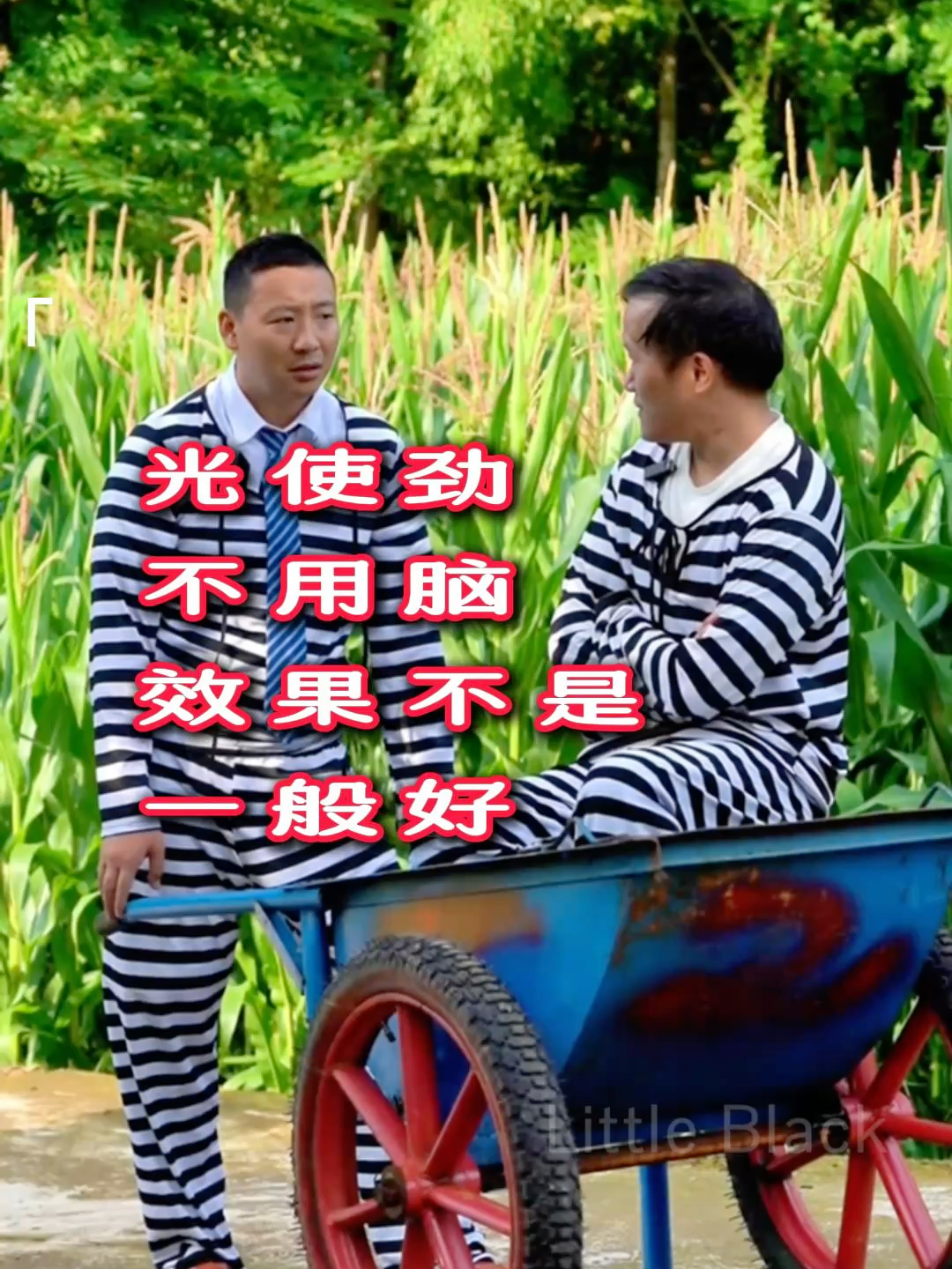 #littleblack #chinesevideo #တရုတ်ဟာသ🤣 #အသေးလေး