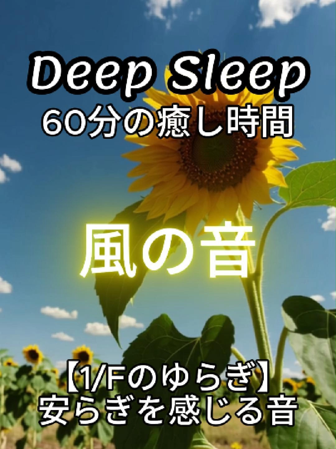 60分の睡眠用BGMになっているので寝ながらもOK！風の音には「1/fゆらぎ」と呼ばれる波形が含まれていて、心をリラックスさせる効果があるよ！また、風の音を聞くことで、脳波の「アルファ波」が生成され、安らぎを感じることができます It can also be used as background music for sleep, so you can listen to it while you sleep! The sound of water contains a waveform called 
