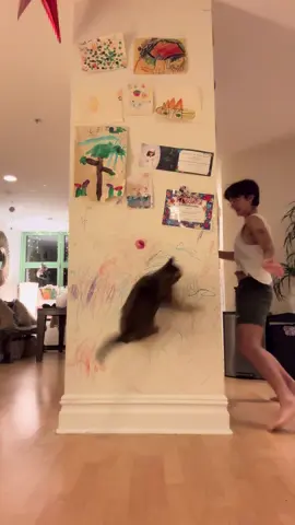 Cat sitting. This is our favorite game 