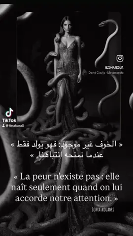 « La peur n’a de pouvoir que si nous choisissons de la regarder. Ignorée, elle s’éteint. » « الخوف لا وجود له إلا حيث تدعوه أفكارنا للدخول. » #Peur #Confiance #Courage #Mindset #DéveloppementPersonnel #PaixIntérieure #MaîtriseDeSoi #PenséePositive #VivreSansPeur #Éveil #ForceIntérieure #Conscience #Motivation #Inspiration #BienÊtre