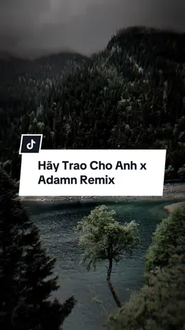 Hãy Trao Cho Anh x Adamn Remix#bachtuong205 #bachtuong #capcut #capcutpioneer #pioneertemplate 