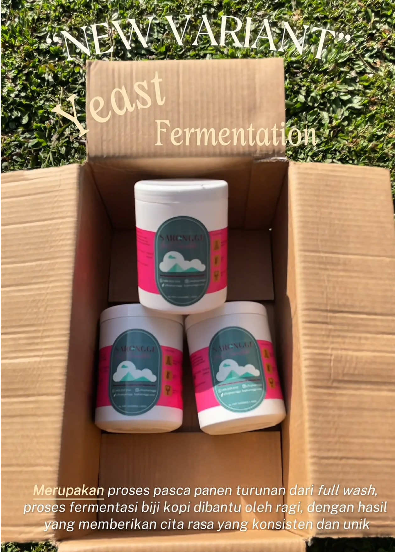 ☕[NEW VARIANT IS COMING]☕ Kopi Sarongge Yeast Fermentation hadir dengan cita rasa baru yang lebih unik Stay Tuned yaaaa‼️😍 #fy #new #kopisarongge #kopi 