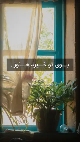 Song: Boye Tu Khezad Hanoz Song by #AhmadZahir #fyppppppppppppppppppppppp #beautiful #canada #comment 