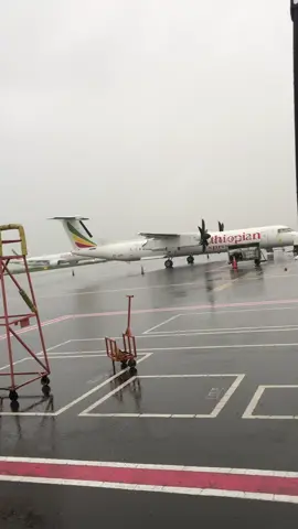 Adisabab to Jigjiga #foryoupage #somalilandtiktok #fyp 