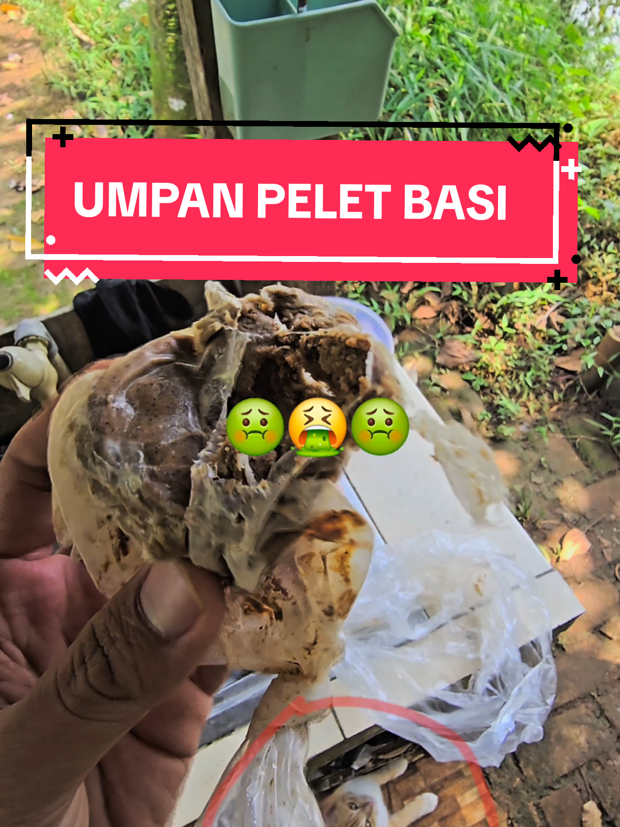 lah malah dapet ikan