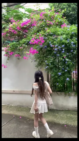Mình anh với riêng anh trong đời 𓍢ִ໋🦢 ࣪  ౨ৎ˚₊ 