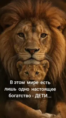 #дети #вэтотдень #creatorsearchinsights #rek #рекомендации 