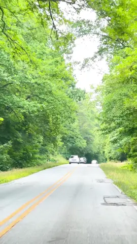 North Carolina 🇺🇸