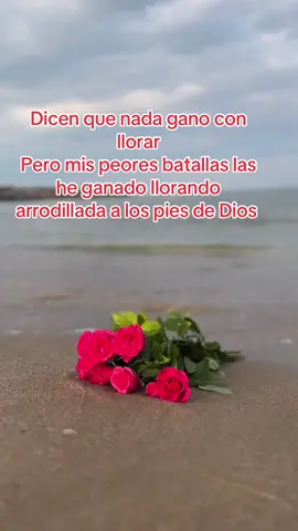 #fyp si tienes que llorar por un problema hazlo pero a Los pies de Cristo 