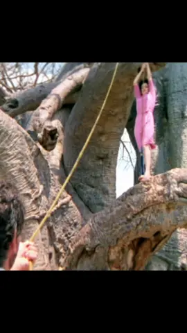 Beautiful doctor, her dress is hanging on a tree branch #fyp #fypシ #movie #film #foryou 