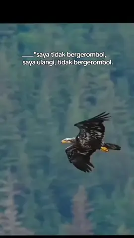 #vibrasisemesta #frekuensi #grounding #keberuntungan 