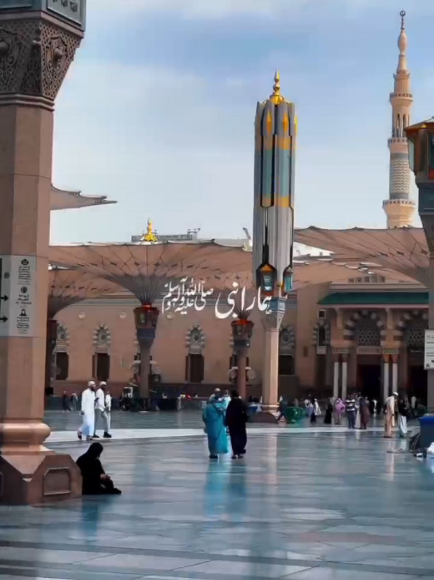 یا نبی ﷺ . . . . . #zariiasthetics🕊  #zariiasthetics #viral #rabiulawal #rabiulawalmubarak @EditsbyAhmed 