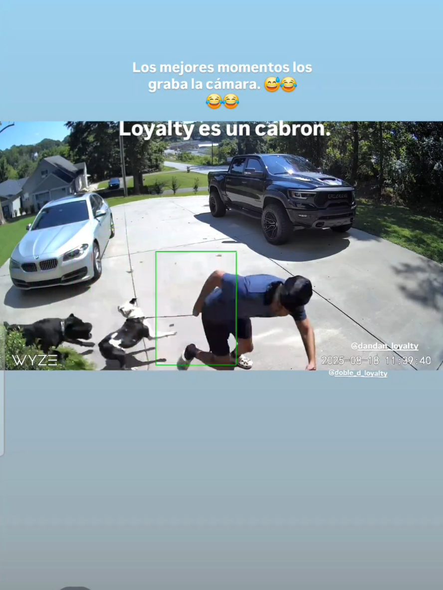 Lotalty no esta fácil. #Canecorso #pitbull #video #flypシ #parati 