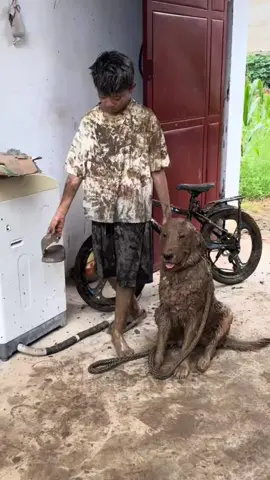 #funny #funnyvideos #dog #comedy 