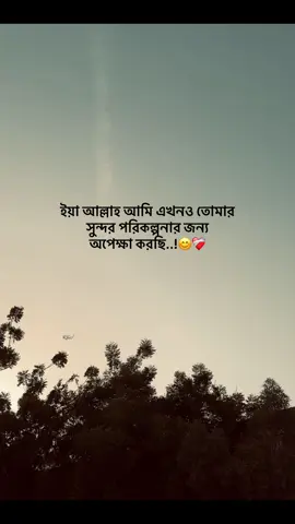 Ya Allah, I am still waiting for your beautiful plan..!😊❤️‍🩹 .. .. .. #Sharjah_top_2#dubaivideo#foryou#yyyyyyyyyyyyyyy#vairalvideo
