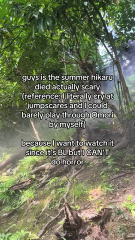 people keep asking me to play horror games on stream and it will never happen #thesummerhikarudied #bl 