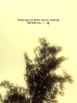# নিজেকে ধ্বংস হতে দিলাম