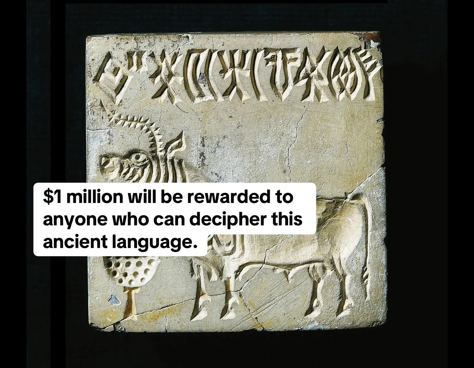 When we speak of ancient languages, names like Latin, Greek, or Sanskrit usually come to mind. But long before many of these, another family of tongues was already alive in South Asia: the Dravidian languages, spoken by more than 250 million people today across India, Sri Lanka, Pakistan, and Nepal. The most famous among them is Tamil, often celebrated as the world’s oldest living language still spoken today. Tamil’s literary tradition stretches back to the Sangam period around 500 BCE, with inscriptions carved into pottery and cave walls. Unlike Sanskrit, which became mostly a liturgical language, Tamil has been in continuous everyday use for over 2,000 years, making it a linguistic treasure of humanity. Linguists also reconstruct a “Proto-Dravidian,” the common ancestor of all Dravidian languages. They estimate it was spoken between 2500 and 4000 BCE, with some theories placing its roots as far back as 7000 BCE. That makes Dravidian a possible contemporary or even a predecessor to the languages of ancient Mesopotamia and Egypt. This is why many scholars suspect that the Indus Valley Civilization (2600–1900 BCE) may have been Dravidian-speaking. Thousands of Indus seals and inscriptions bear a script that has never been deciphered, with signs resembling fish, humans, animals, and geometric patterns. With no “Rosetta Stone” to guide us, the language behind these symbols remains a mystery. Computational studies suggest patterns that align with spoken language, and several scholars argue those patterns fit best with Dravidian roots. If this is correct, the Indus script may encode the world’s oldest written Dravidian language, linking the Bronze Age cities of Harappa and Mohenjo-daro to modern Tamil Nadu and South India. The debate, however, is far from over. Competing theories suggest links to Indo-Aryan or Munda languages, while some researchers believe the script might not represent a full language at all. Instead, they argue it could be proto-writing: symbolic marks used for trade or ritual. Today, the Dravidian languages remain a pillar of South Asian identity. Telugu, Kannada, Malayalam, and Tamil each carry centuries of poetry, philosophy, and culture. Their survival highlights a living bridge between the ancient and the modern, one that may yet help unlock the secrets of the Indus Valley. Until someone cracks the Indus script, a feat now carrying a $1 million reward offered by Tamil Nadu, the Dravidian connection remains one of history’s most tantalizing possibilities. #archeology #indus #history #mystery #tamil 