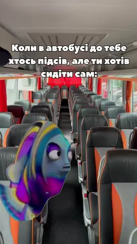 #contrabus #німеччина🇩🇪 #пасажирськіперевезення #жартиукраїнською #