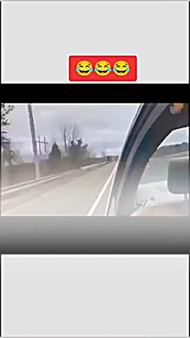 funny dog😂😂😂 #foryou#funnyvideo #dog #dogsoftiktok #fyp#virel #trending#tik_tok #1millionaudition 