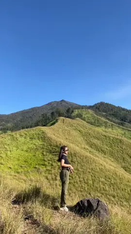 gatau gw ngapain dah