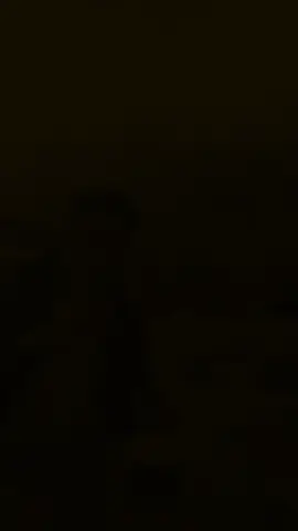 #CapCut 