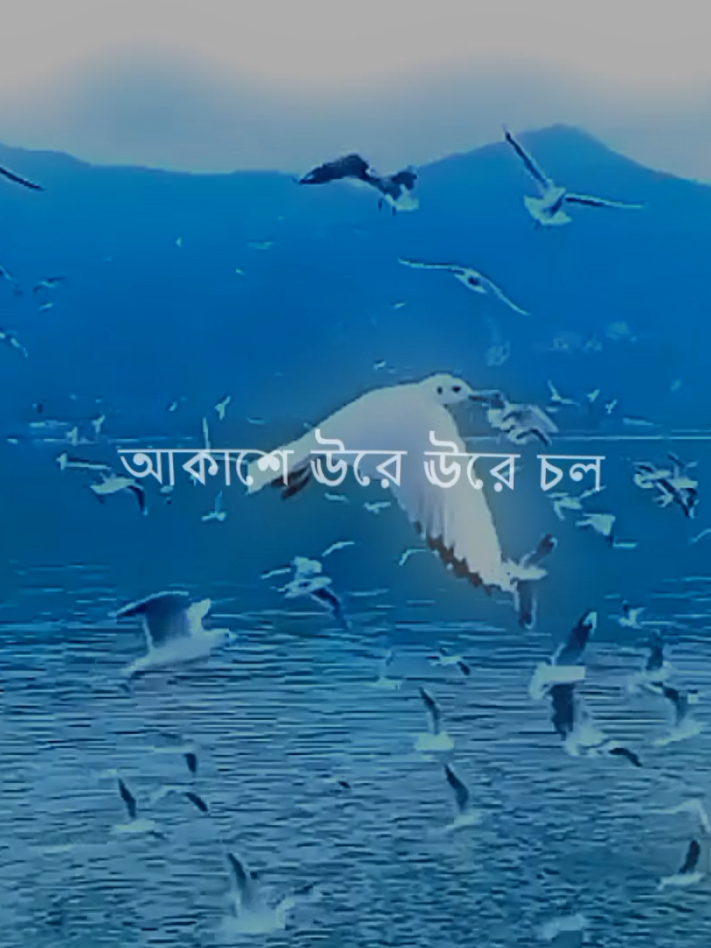 কেনো তুই দূরে দূরে বল 🎧💜#foryou #fyp #lyricsvideo #lyrics_songs #lyrics 
