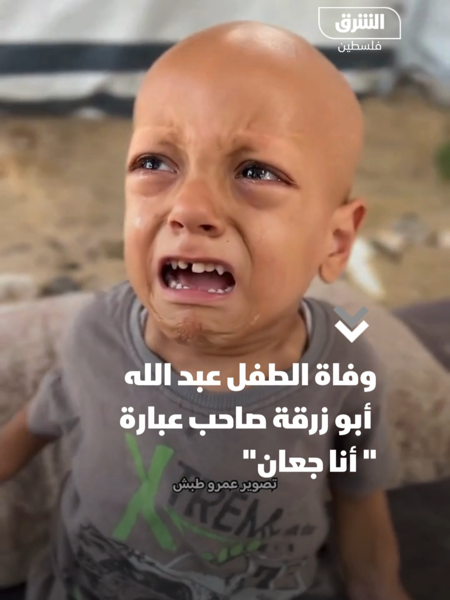 كتب الصحفي عمرو طبش: