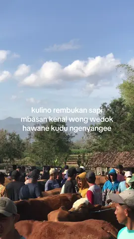 😭🙏 #masukberanda #jeprisapi #fyp 