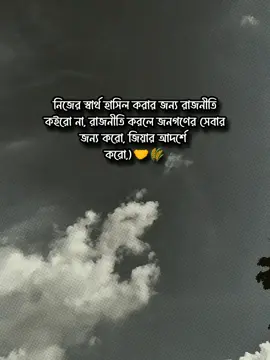 রাজনীতি করলে জিয়ার আদর্শে করো✊🌾#fyp #foryou 