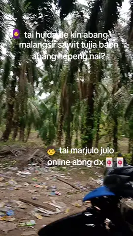 #batak 