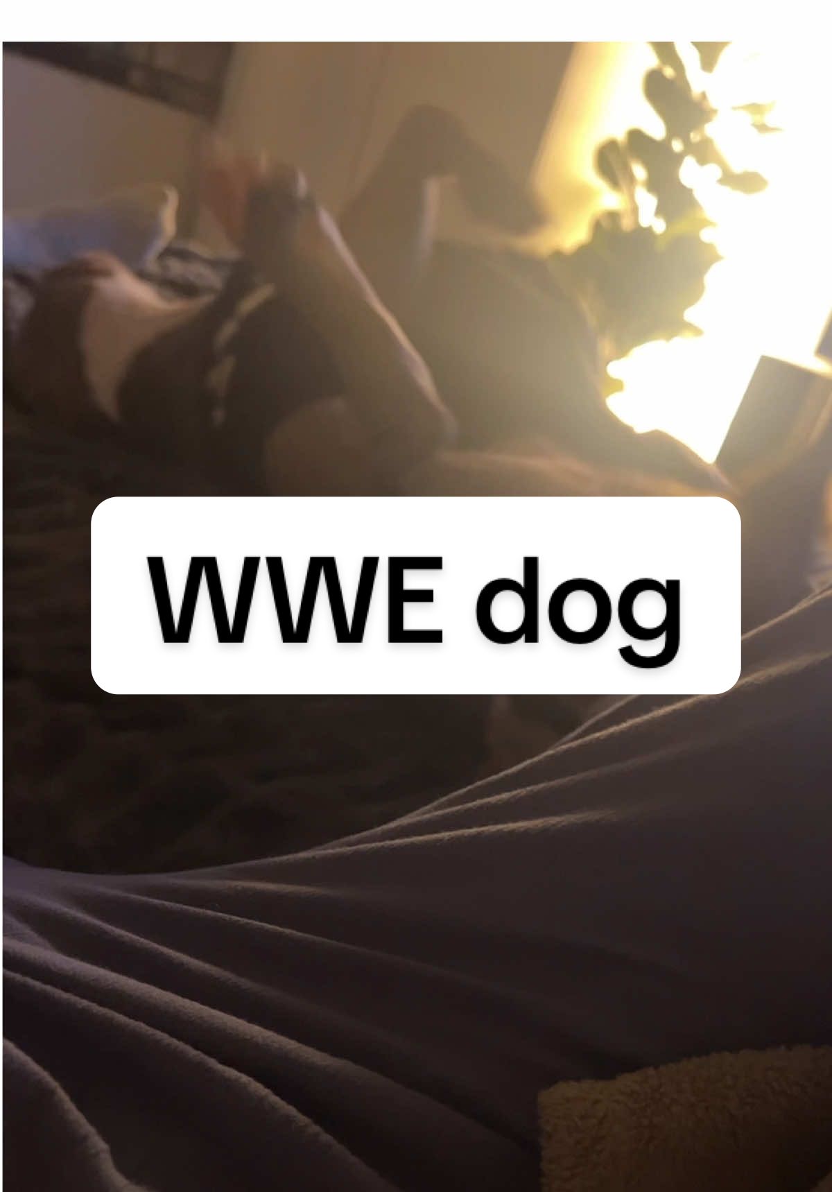😂 