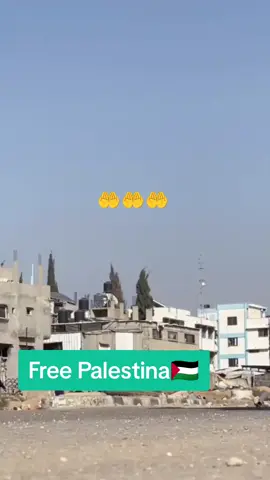 #freepalestine #freepalestine🇵🇸❤️ #freepalestine🇵🇸🇵🇸 