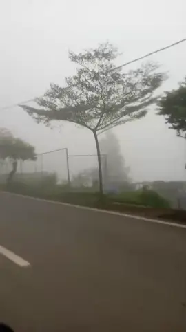 sedang berkabut☁️🥶🥶🥶🥶#TEGAL 