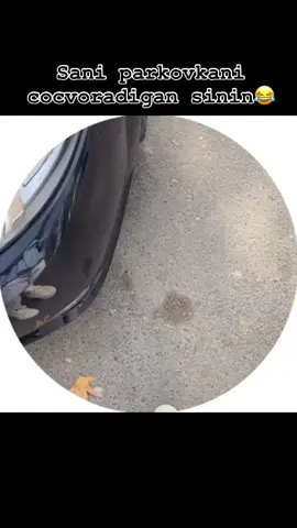 😂😂
