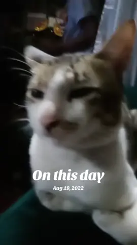#onthisday
