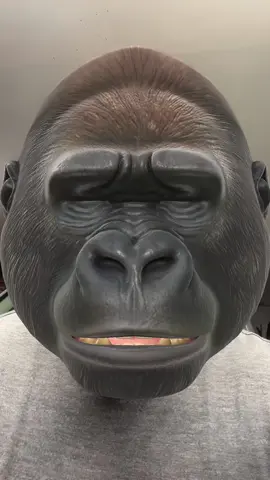 1 gorilla and no school in #panafricanism 
