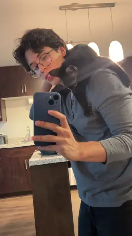 shoulder pet 