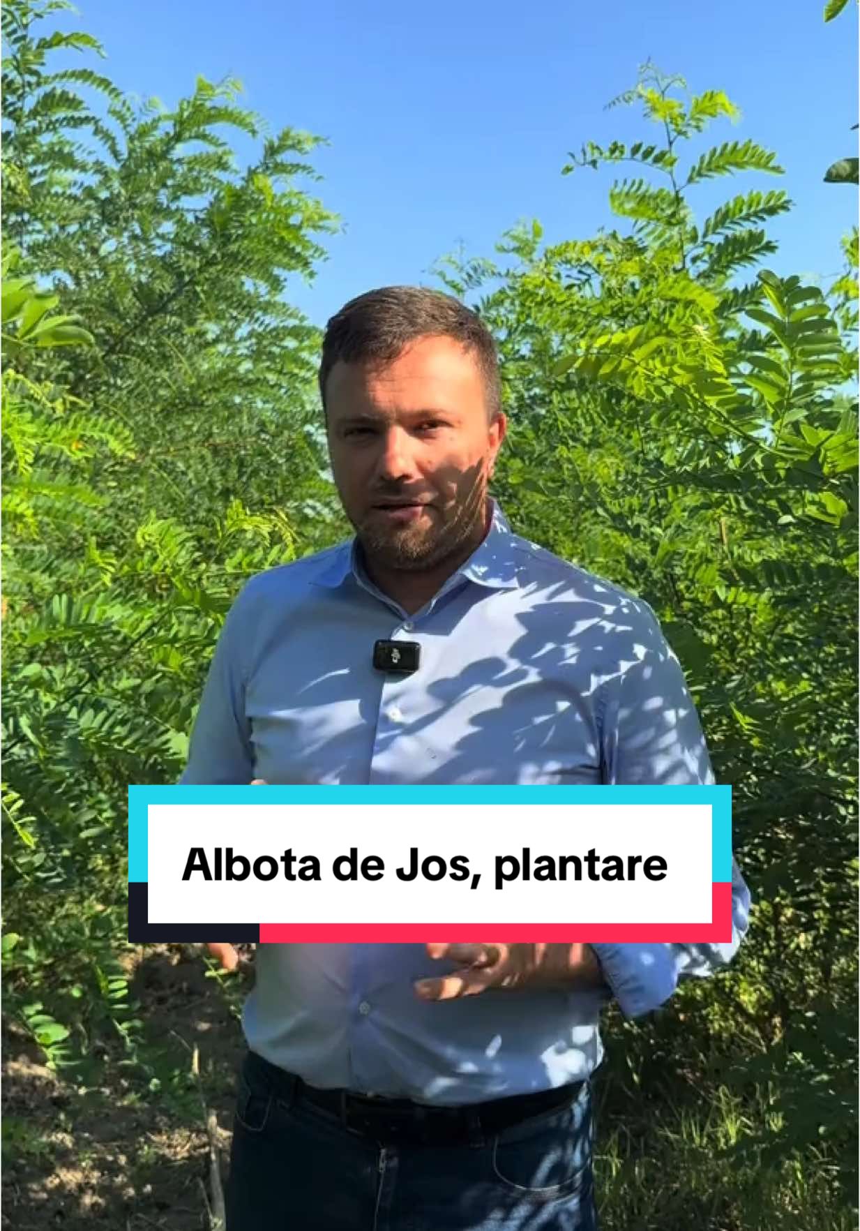 ❌ FALS: „Dacă oferim teren pentru împădurire, rămânem și fără teren, și fără pădure.” ✅ Adevărul: În această toamnă, primele păduri tinere plantate prin Programul Național de Împădurire vor fi returnate primăriilor. Asta înseamnă că terenurile oferite pentru împădurire revin integral în proprietatea primăriilor, dar împreună cu valoarea adăugată a unei păduri noi. 🌱 Încurajăm și alte primării să pună la dispoziție terenuri pentru a fi împădurite. 📌 Regula este simplă și transparentă: atunci când rata de prindere a arborilor depășește 75%, pădurea intră oficial în proprietatea primăriei.