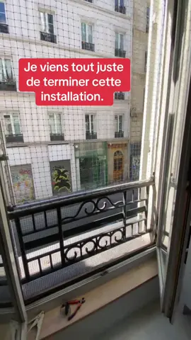 Un chat de plus est en sécurité ! #securite #chat #appartement #paris #fenetre 