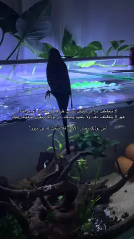 #الحمد_الله_داما_وابدا #foryou #foryoupage #fypシ #مالي_خلق_احط_هاشتاقات🦦 