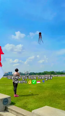অক্টোপাস ঘুড়ি উড়ছে  সিঙ্গাপুরের আকাশে।👌✅🇸🇬🪁#foryou #singapore #amazing #viral 