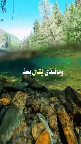 #ForYouPage #fyp#foryou #trendingnowontiktok #viral