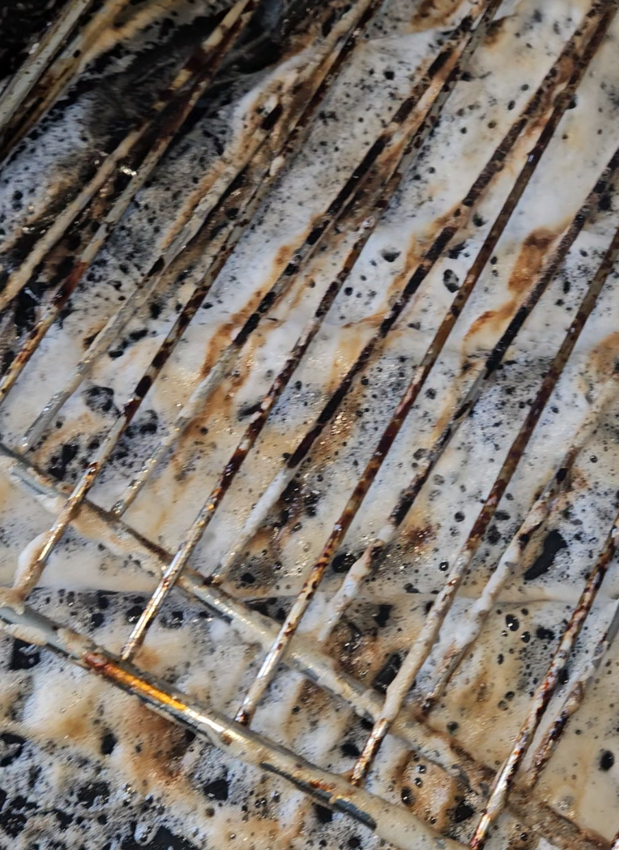 Quick breakdown of how I use the @Selleys New Zealand oven cleaner to make oven racks sparkling new ✨️ #fyp #SatisfyingClean #CleaningHack #MamaCleansLevin #OvenClean 