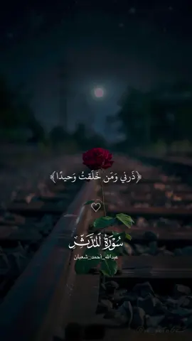 ذرني ومن خلقت وحيدا 🤍🕊️ #القارئ #عبدالله_احمد_شعبان #سورة_المدثر #قران_كريم #اكسبلورر ♡  