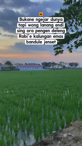 Sing sabar senoke ya. #indramayu_tiktokers #indramayuviral #indramayutarling #indramayunihbos😎 #indramayupride🏴‍☠️ 