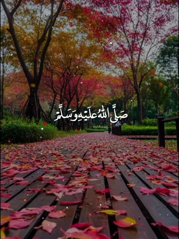 #creatorsearchinsights #tiktok #foryou #foryoupage #صلی_اللہ_علیه_وآله_وسلم 