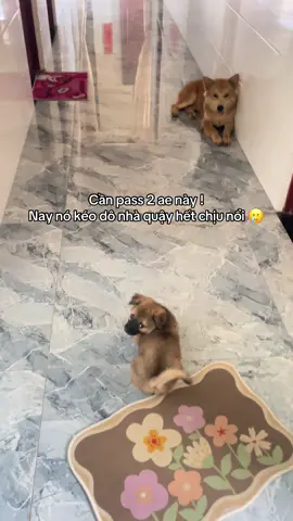 #cunyeu 