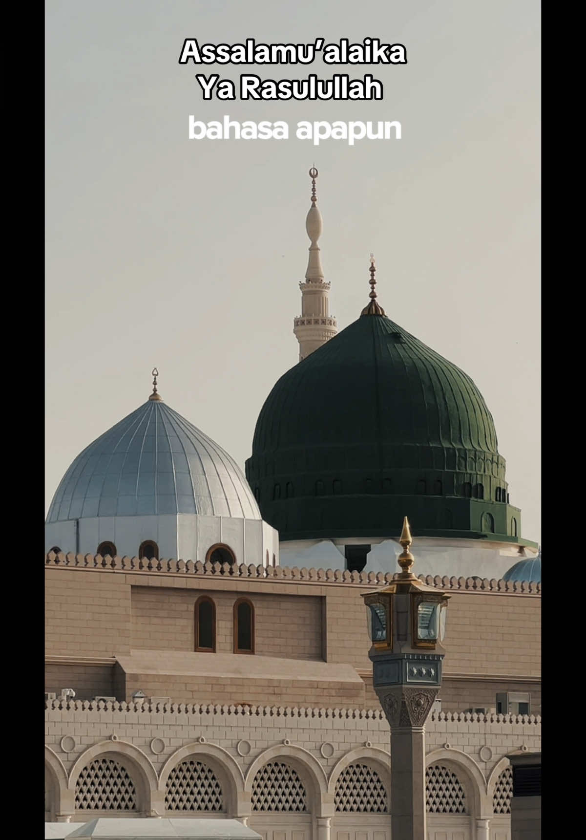 #CapCut اَللَّهُمَّ صَلِّ عَلٰى سَيِّدِنَا مُحَمَّدٍ وَعَلٰى اٰلِ سَيِّدِنَا مُحَمَّدٍ #rindurasulullah #cintarasulullah #masjidnabawimadinah #masjidnabawi #raudah #mekahmadinah #umrah #madina #madinah 